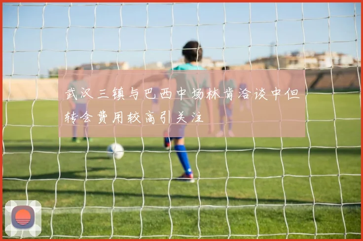 武汉三镇与巴西中场林肯洽谈中但转会费用较高引关注