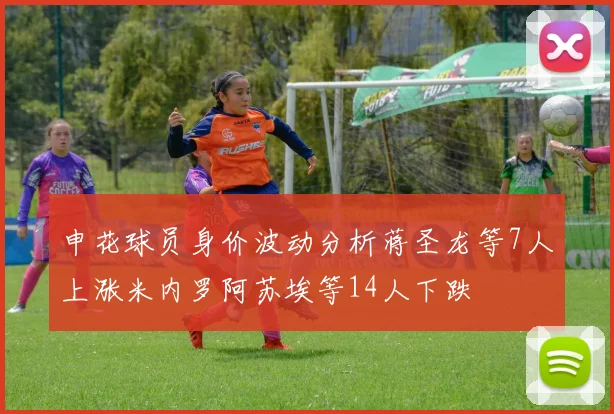 申花球员身价波动分析蒋圣龙等7人上涨米内罗阿苏埃等14人下跌