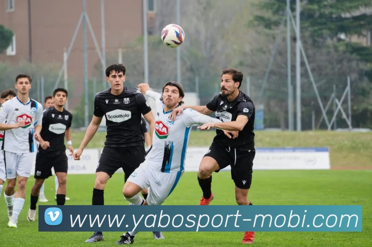 App Interface Preview